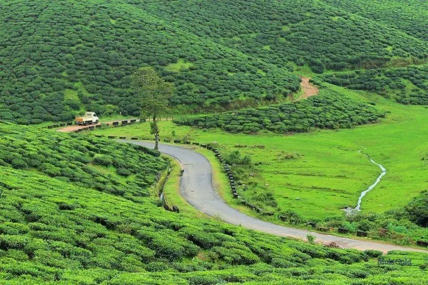 Munnar, Kerala tour from Bangalore
