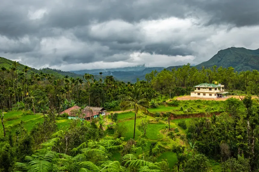 Wayanad Nature Escape — tour package from Bangalore