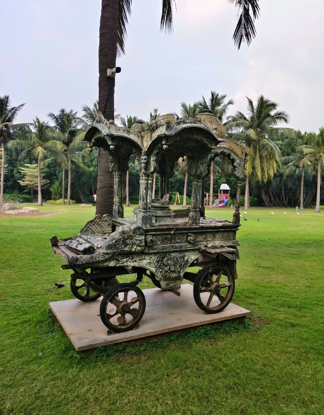 Antique decorated bullock cart on display at a coastal resort lawn