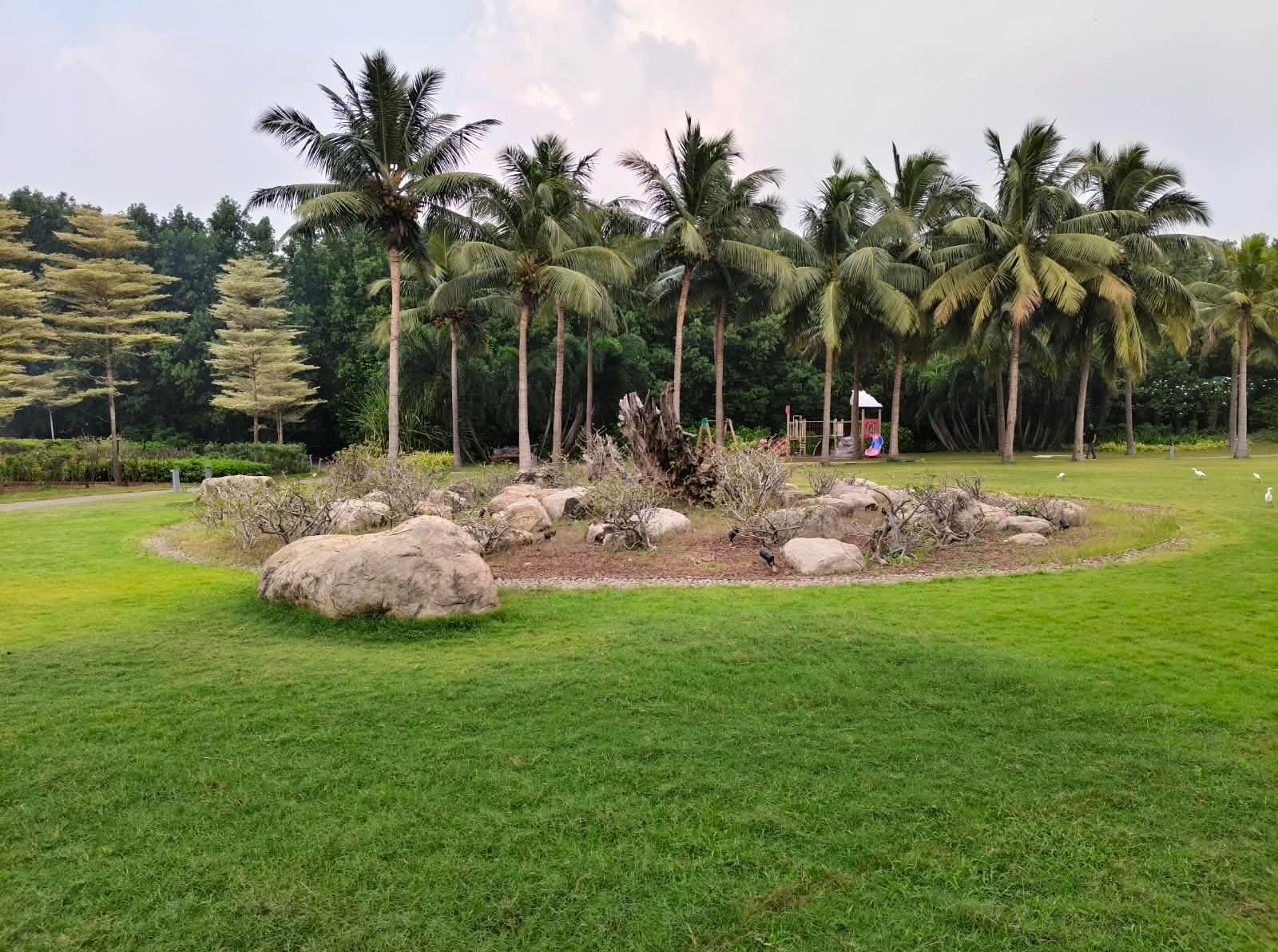 Visitors walking across a palm-lined coastal resort lawn