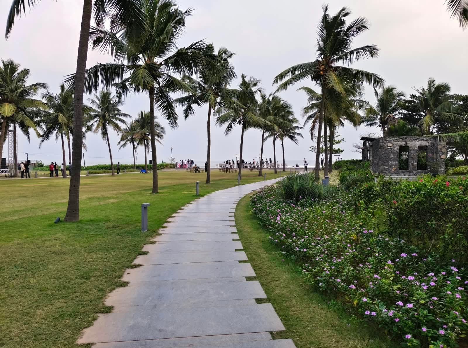 Paved walkway through palm trees and flowering shrubs at a coastal resort