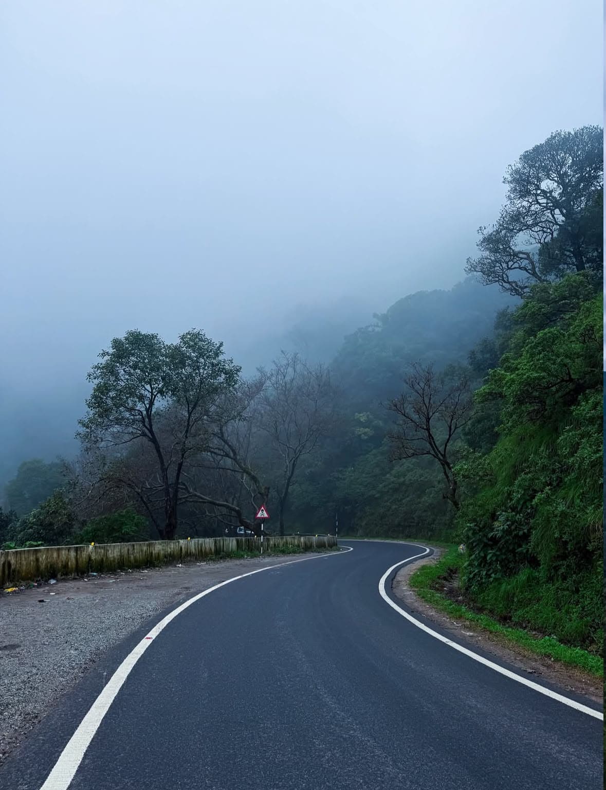 Curved mountain road disappearing into fog and greenery