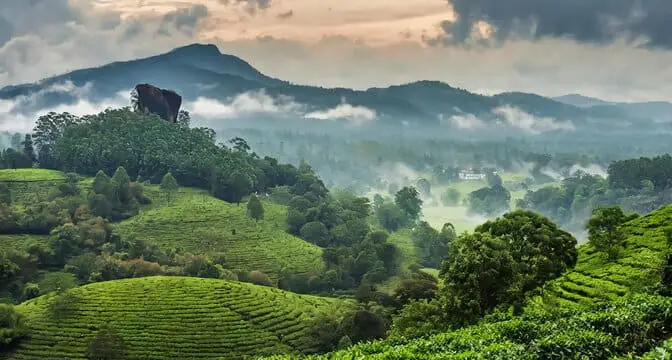 Customized Tours in Bangalore — Yogi Tours & Travels